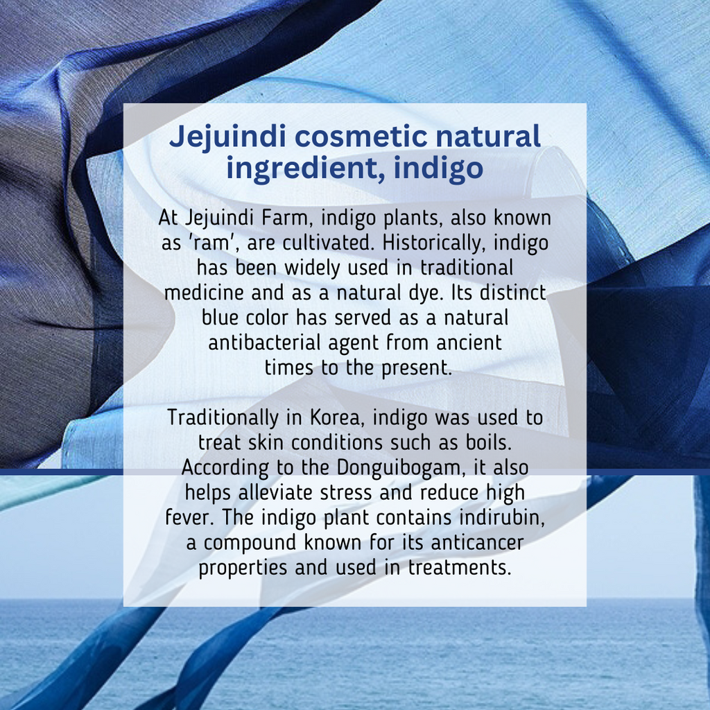 Jeju-Indi-Indigo-Moist-Gel-Cream-80G – beauty & skincare essential for daily radiance
