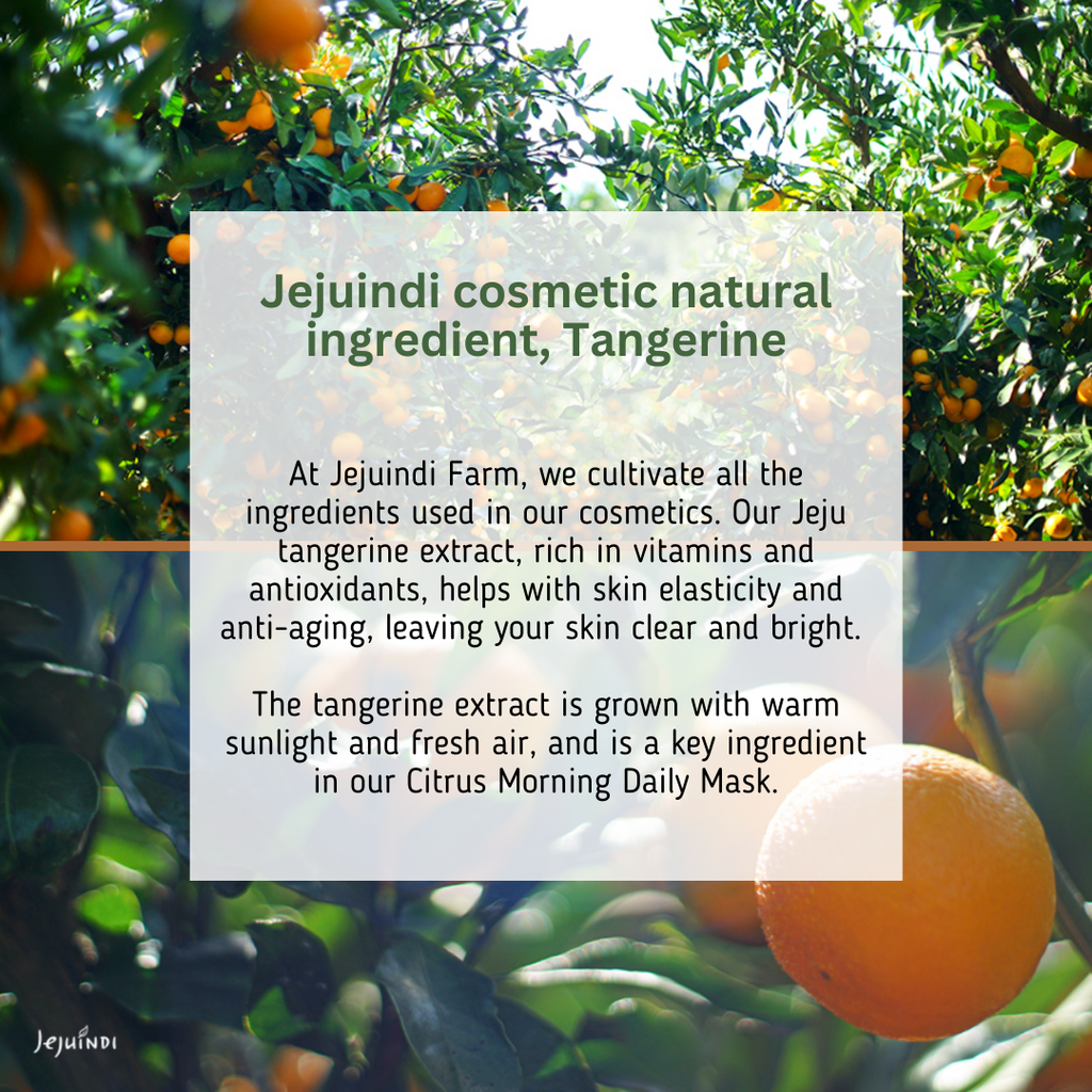 Jeju-Indi-Vitamin-C-Daily-Morning-Care-Mask-380G – beauty & skincare essential for daily radiance