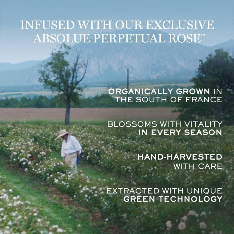 Lancome Absolue Regenerating and Brightening Soft Cream 60ml