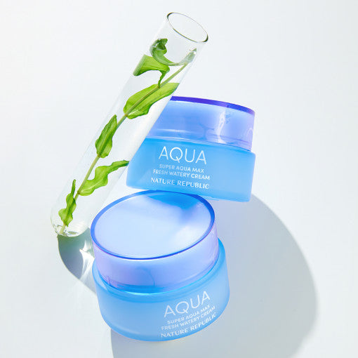 Nature Republic Super Aqua Max Fresh Watery Cream 80ml - All Day Pretty Korean Beauty NATURE REPUBLIC