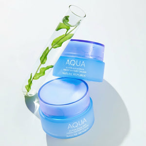 Nature Republic Super Aqua Max Fresh Watery Cream 80ml