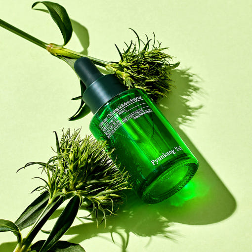 Pyunkang Yul Ultimate Calming Solution Ampoule 30ml - All Day Pretty Korean Beauty Pyunkang yul