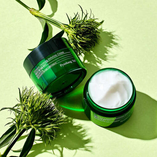 Pyunkang Yul Ultimate Calming Solution Cream 30ml - All Day Pretty Korean Beauty Pyunkang yul