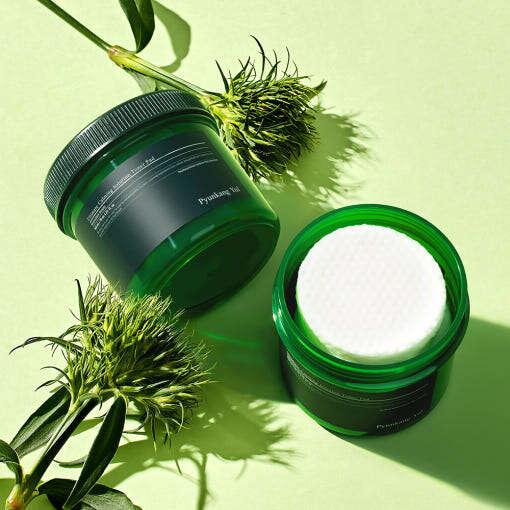 Pyunkang Yul Ultimate Calming Solution Toner Pad 70 Pads/140ml - All Day Pretty Korean Beauty Pyunkang yul