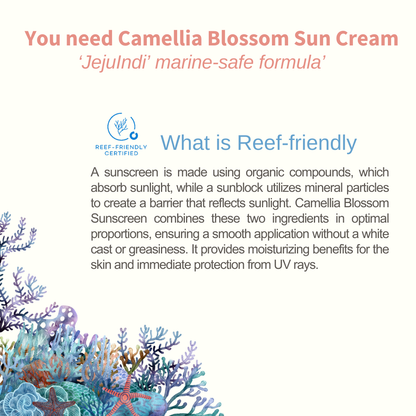 Jeju-Indi-Blossom-Sun-Cream-50Ml – beauty &amp; skincare essential for daily radiance