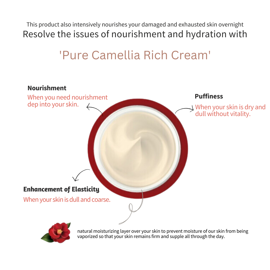 Jeju-Indi-Camellia-Vital-Rich-Cream-50Ml – beauty &amp; skincare essential for daily radiance