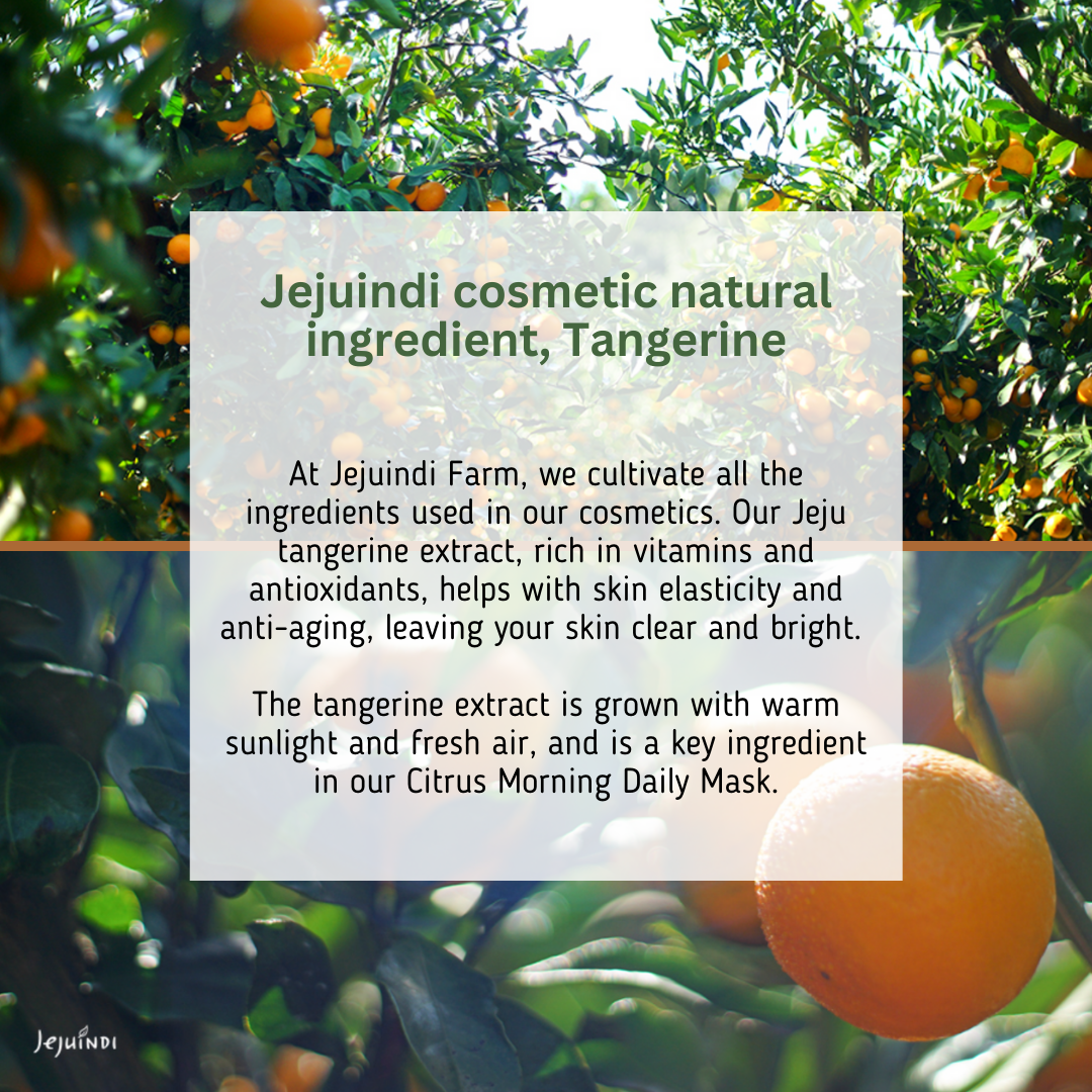Jeju-Indi-Vitamin-C-Daily-Morning-Care-Mask-380G – beauty &amp; skincare essential for daily radiance