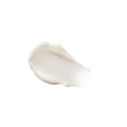 The Saem Snail Essential EX Wrinkle Solution Cream 50ml - All Day Pretty Korean Beauty The saem