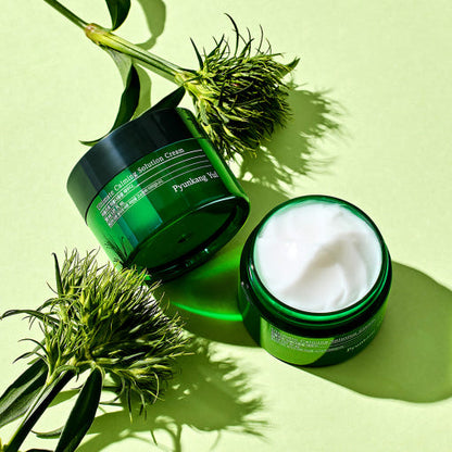 Pyunkang-Yul-Ultimate-Calming-Solution-Cream-30Ml – beauty &amp; skincare essential for daily radiance