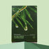 Dr.Ceuracle Tea Tree Purifine Soothing Mask 23Ml*10Ea – beauty & skincare essential for daily radiance