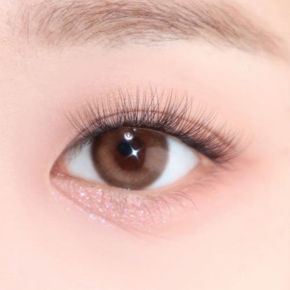 Coringco-Toktok-Hara-Air-Eyelash-100Pcs-3-Types – beauty &amp; skincare essential for daily radiance